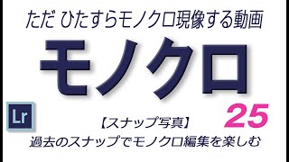 【モノクロ写真】025　白黒写真　ライトルームでただモノクロ現像するだけの動画（過去のスナップから編）