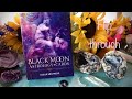 Black Moon Astrology cards 🌚