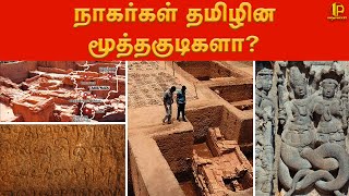 நாகர்கள் தமிழின மூத்தகுடிகளா? 😳 | Info Pocket