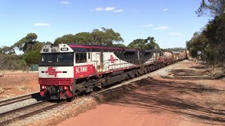 SCT008 and SCT015 on a 2MP9 service at Northam