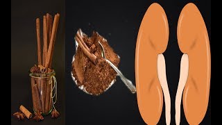 दालचीनी से होने वाले साइड इफेक्ट के बारे में जानिए दालचीनी के नुकसान/ cinnamon side effects in hindi