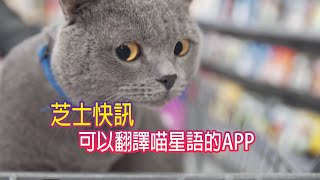 （請打開字幕）喵星人語言翻譯app真的有用嗎？ 【JoJo TV瞄芝士】