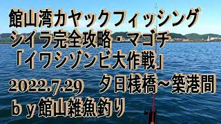 シイラ釣り方完全攻略　2022.7.29　館山湾夕日桟橋　シイラ・マゴチ　カヤックフィッシング