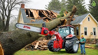 Extreme Dangerous Fastest Big Chainsaw Cutting Tree Machines | Monster Stump Removal Excavator #94