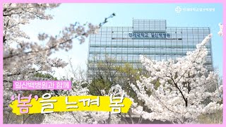 [희망하다] 🌸일산백병원과 함께 '봄을 느껴 봄'🌸