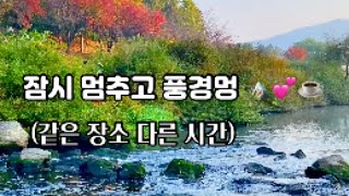 [잠멍대 #16]  단풍, 냇물과 먼 산이 보이는 가을 풍경멍 (한 장소 두개의 시간대)