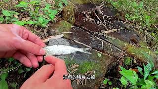 水溝裏抓了一點小魚小蝦，放石板上燒烤一下，鮮美多汁太好吃了！#户外 #烧烤 #美食