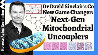 Dr David Sinclair's Co’s NEW Game Changer: Next-Gen Mitochondrial Uncouplers