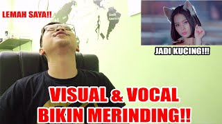 LEE HI - NO ONE ( feat B.I of iKON ) MV Reaction [ KENAPA DIA BERUBAH JADI KUCING???!!! ]