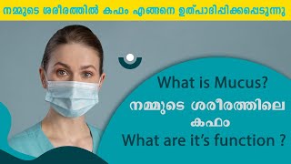 ശരീരത്തിലെ കഫം #phlegm #How is mucus produced in the body? #malayalam #video #youtube