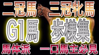 【競馬】一口馬主　G1馬　募集時　写真＆歩様集　   Horse racing　G1　winner  in Japan