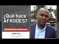 ¿Cómo está conformada AFRODES?  | La Pata que le falta a la Mesa - Mesa Capital