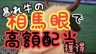 2019.10.27　暴れ牛の競馬BEEF【相馬眼】で高額配当ゲット