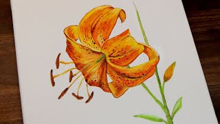 기초 아크릴화 꽃 그리기 _ 한국의 야생화(참나리)  / Wild flower( a tiger lily) Acrylic Painting Step by Step #66