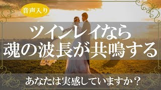 ツインレイかどうかは魂の波長でわかる!SNSを使っている人向け相性の見分け方【きずなチャンネル】音声入り