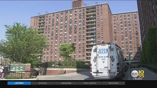 Man shot and killed inside Queens apartment building complex