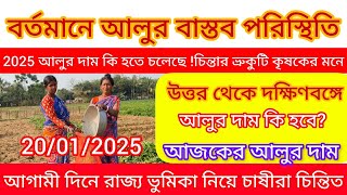 আজকের আলুর দাম/আগামী দিনে আলুর দাম কি হতে পারে চাষীদের মধ‍্য চিন্তা/West Bengal potato Future 2025