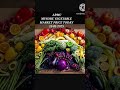 mysore apmc vegetable market 15 01 2025 mysore apmcmarket vegetablemarket kannada farmersmarket