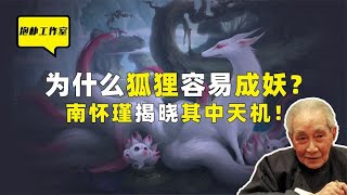 自然界动物那么多，为什么狐狸容易成妖？南怀瑾揭晓其中天机！【抱朴工作室】