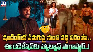 MegaStar Chiranjeevi's was Injured |IN MOVIE SHOOTING  షూటింగ్‌లో ఏనుగుపై నుంచి ప‌డ్డ చిరంజీవి