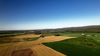County Agricultural Close-up: Clarke County