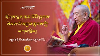 རྟོགས་ལྡན་རྒན་པོའི་ལུགས་སེམས་ངོ་མཛུབ་ཚུགས་ཀྱི་བཀའ་ཁྲིད། ༠༤ དྲི་བ་དྲིས་ལན།  ༧སྐྱབས་རྗེ་རིན་པོ་ཆེ།