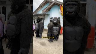 Wow Gede banget #gorilla #singadepok #shorts #badut