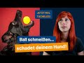 So schadet Ball spielen deinem Hund