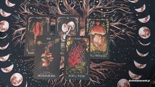 Dlaczego czujesz się samotna? Prosiłaś o znak i oto on 🦋 #tarot #wróżby