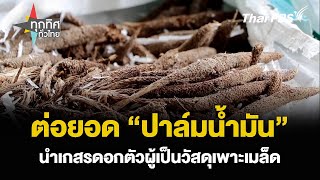 ต่อยอด “ปาล์มน้ำมัน” นำเกสรดอกตัวผู้เป็นวัสดุเพาะเมล็ด | ทุกทิศทั่วไทย | 18 มี.ค. 67