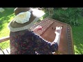 Quen a Omagen from the Cantigas de Santa Maria on Dulcimer