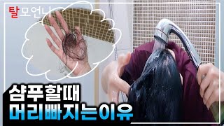 (*Eng) 머리를 감을 때 머리가 많이 빠져서 무서워서 머리를 못감 겠어요!