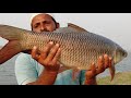 unbelievable fish catching big rohu fishing amazing fishing rohu fishing fishing big rohu fish