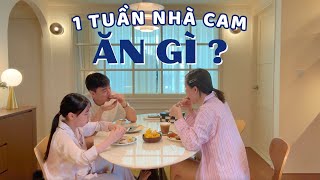 1 TUẦN NHÀ CAM ĂN GÌ? MÙA THẢ DIỀU Ở SÀI GÒN,  CHIỀU CHIỀU ĐI DẠO CÔNG VIÊN BỜ SÔNG.