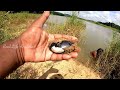 ഇപ്പോള്‍ കരിമീന്‍ പിടിക്കാന്‍ ഈ തീറ്റ മതി 🎣 karimeenfishing keralafishing fishingmalayalam fishing