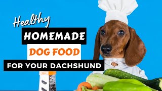 Best Dog Food For DACHSHUNDS - EASY, Healthy, & Homemade Recipe that they LOVE!