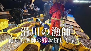 「漁師密着」ホタルイカ定置網漁！一撃2.５トンほたるいか爆入りです！富山県滑川市