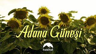 ÖZEL YAPIM   |  ADANA GÜNEŞİ