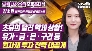 [오후초대석] 사상 초유 달러 약세에…‘원자재’ 매수로 눈 돌릴 시기?