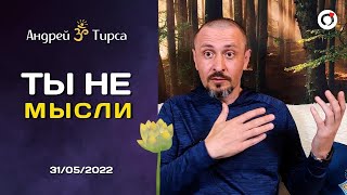 ТЫ НЕ МЫСЛИ - Андрей Тирса - 31 мая 2022