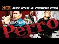 Andabas de Perro | Max Hernández | Película Completa | Cine Mexicano