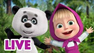 🔴 EN DIRECT 🐻👱🏻‍♀️ Masha et Miсhka ✨ En direct! Dernières nouvelles 📺👱‍♀️ Masha and the Bear