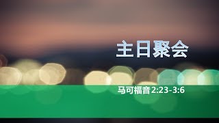 马可福音第六课：主日聚会（从耶稣的恼怒看耶稣与所有异教偶像的区别。根据安息日真理，论丧尽天良的华人教会与白左教会）【2019年5月4日，马可福音2:23-3:5】