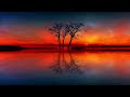 low frequency night ambience 432hz fall asleep in minutes nighttime nature sounds for sleeping