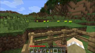 Minecraft for Kids - Tutorial - How to Make a Small Farm Ep 003