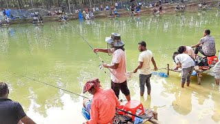 টিকেটে বড় বড় ব্ল্যাক কার্প ও রুই মাছ শিকারের সুন্দর দৃশ্য | Catching Big Fish |