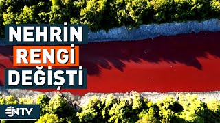 Nehri Görenler Gözlerine İnanamadı | NTV