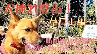 【犬連れ登山！】草戸山編。町田市最高峰は静かな登山道でした。