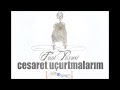 fani peşrev cesaret uçurtmalarım 2013