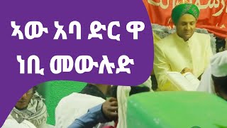 IHMS: ዳይሀዋዝ ቻለ፤ ሐረር ኣው ኣባድር 1496ታኝ ነቢ መውሉድ